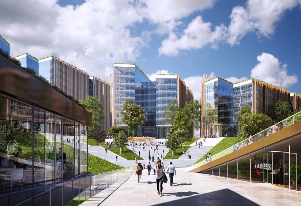 Newlands Park judicial review will ‘hit us all in the pocket’